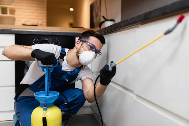 Best Pest Control Near Me in Espaola, NM