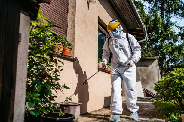 Best Pest Control Near Me  in Espaola, NM