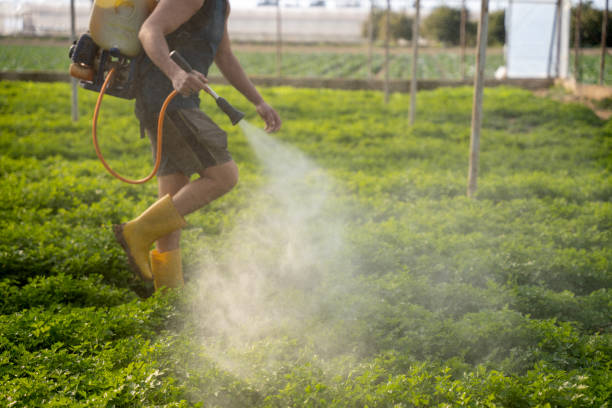 Pest Prevention Services in Espaola, NM