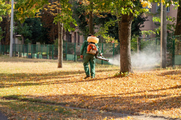 Professional Pest Control in Espaola, NM